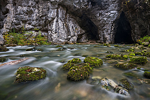 水道,河,洞穴,出口,区域,斯洛文尼亚,欧洲