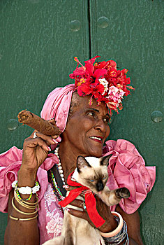 古巴,女士,雪茄,猫