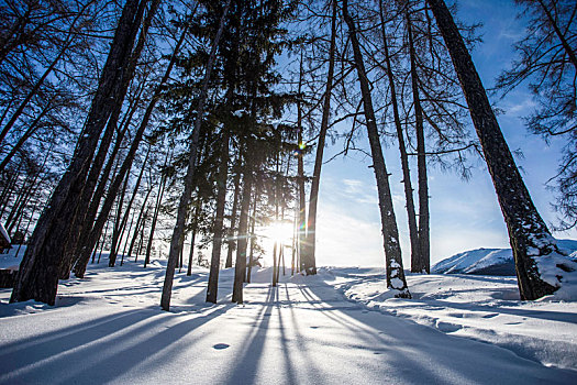 新疆禾木村雪景风光