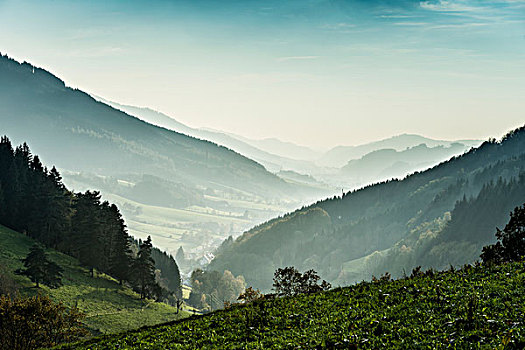 山谷,黑森林,巴登符腾堡,德国,欧洲