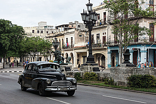 古巴,哈瓦那,大道,老爷车