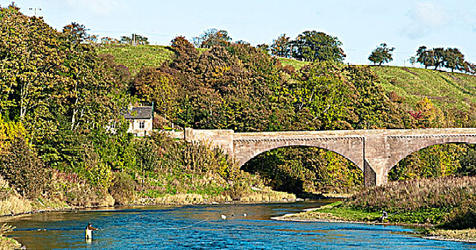桥,上方,河,苏格兰