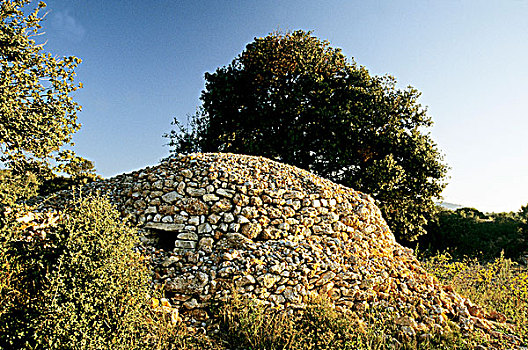 法国,郎格多克,地区,小屋,葡萄园