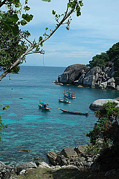 风景,龟岛,苏拉塔尼,泰国,九月,2006年