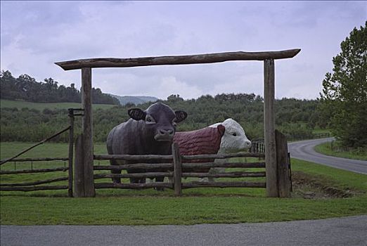 雕塑,母牛,乳牛场