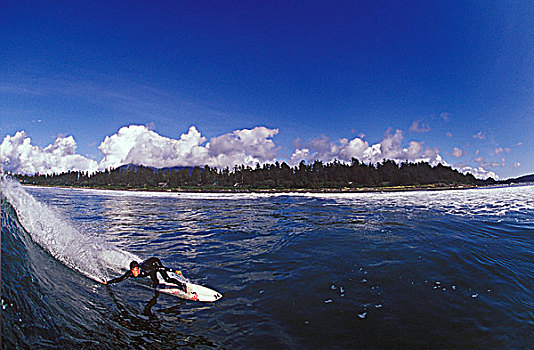 冲浪,制作,仰视,转,靠近,温哥华岛,不列颠哥伦比亚省,加拿大