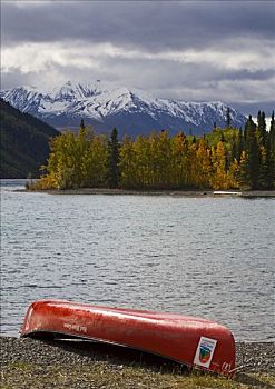 秋色,独木舟,倒立,湖,克卢恩国家公园,育空地区,加拿大,北美
