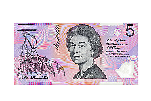 澳大利亚,五个,美元,货币