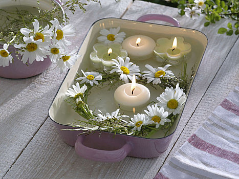 小,花环,滨菊属,草,浮水蜡烛