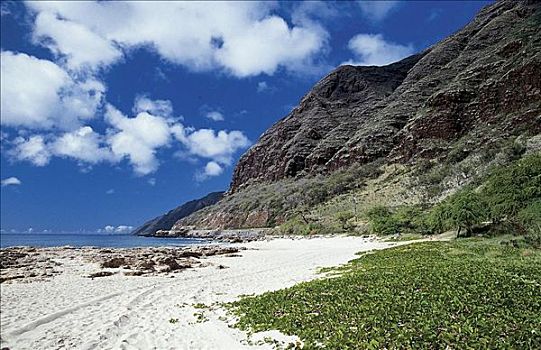 横滨,海滩,瓦胡岛,夏威夷,美国,北美