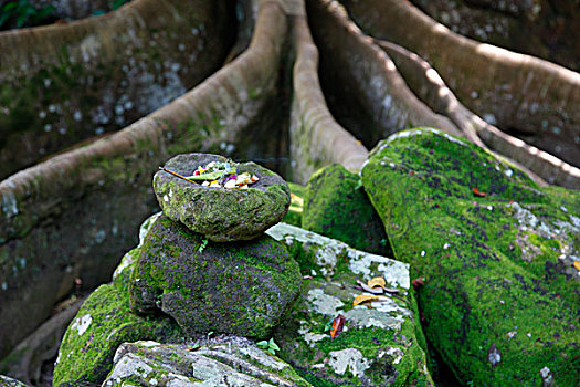 石头,正面,神圣,树,庙宇,大象,巴厘岛,印度尼西亚,亚洲