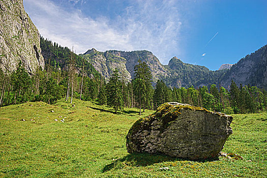 景色,阿尔卑斯山,山,树林,大,石头,正面