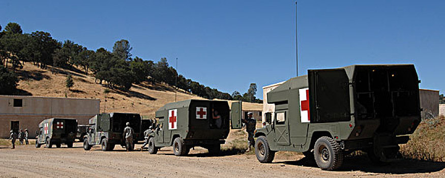 军队,救护车,参加,疏散,场景