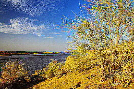 黄河沙漠