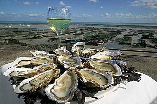 牡蛎,大浅盘,农场,港口,布列塔尼半岛,法国