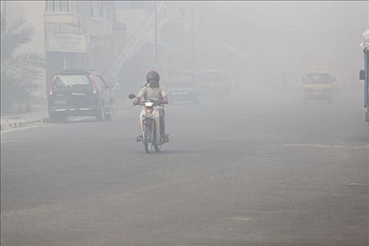 烟雾,街道,中加里曼丹省,婆罗洲,印度尼西亚