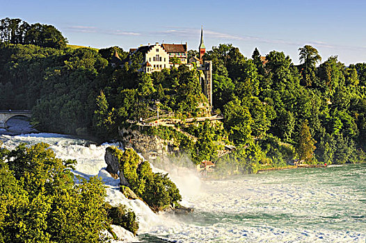 风景,瀑布,城堡,劳芬,沙夫豪森,瑞士,欧洲