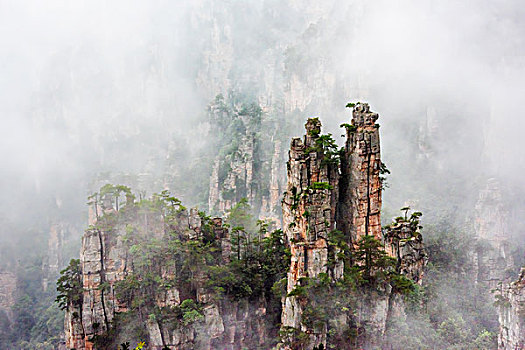 湖南,张家界,峰林,雾