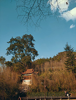 贵州醇景区风光