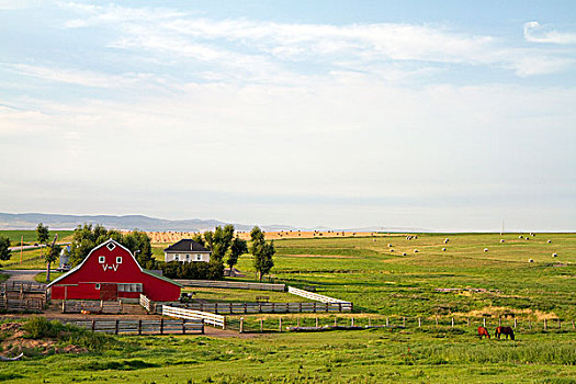 红色,谷仓,农田,南,溪流,艾伯塔省,加拿大