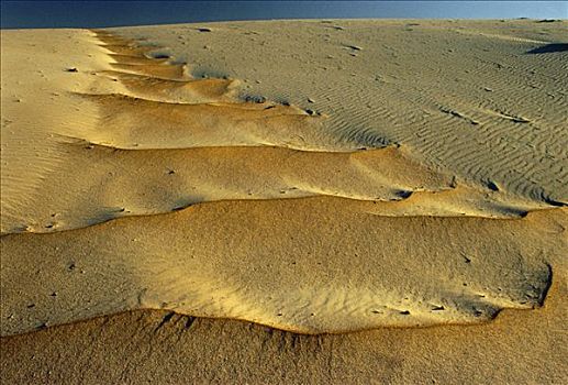 沙丘,靠近,漂石,湾,南非