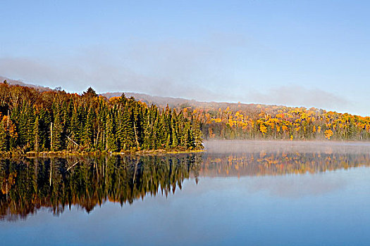 晨雾,上方,湖,阿尔冈金省立公园,安大略省,加拿大