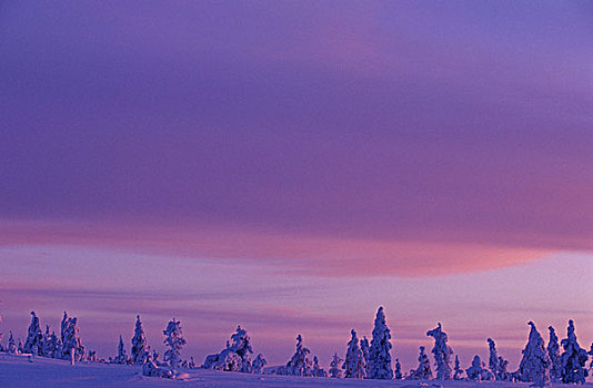欧洲,北欧,斯堪的纳维亚,芬兰,拉普兰,魔法,彩色,日落,寒冷,冬天