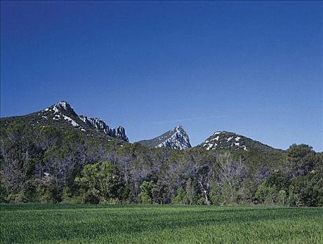 山峦,草地,圣徒,朗格多克-鲁西永大区,法国,欧洲