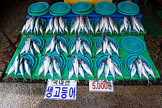 鱼肉,出售,现代,鱼市,釜山,韩国