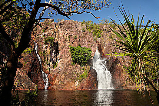 瀑布,国家公园,北领地州,澳大利亚
