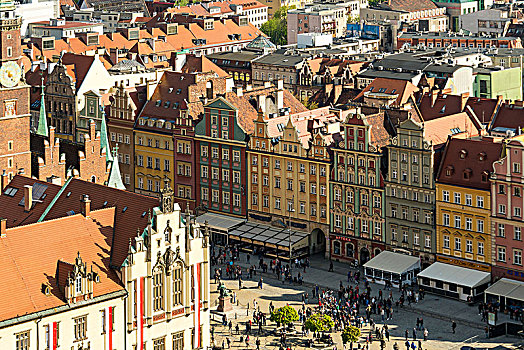 波兰,弗罗茨瓦夫,老城,风景,教堂,市场,市政厅