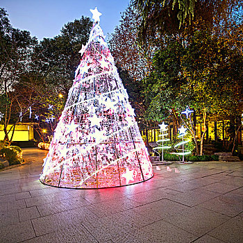 圣诞树,夜晚,广场