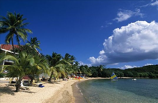 海滩,岛屿,美属维京群岛,加勒比海