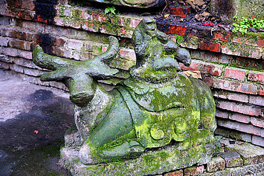 重庆壁山崇圣祠旧址上残留的供奉的生兽石像