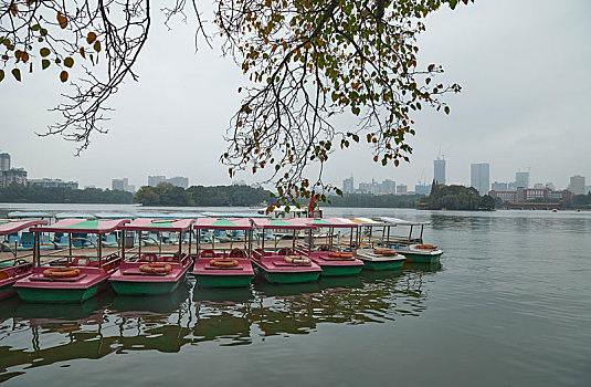 长沙烈士公园夏季雨后风景