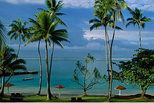 海滩,斐济,酒店,珊瑚海岸,维提岛