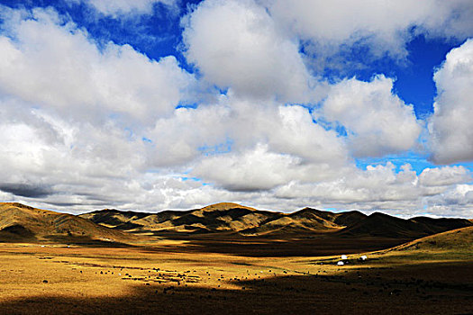 高原草场