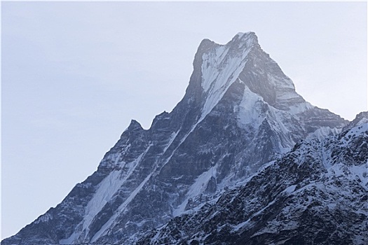 鱼尾,山,尼泊尔