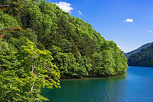 湖,大雪山国家公园,带广市,北海道,日本