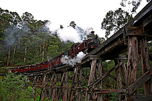 铁路,穿过,支架,桥,建造,山脉,维多利亚,澳大利亚