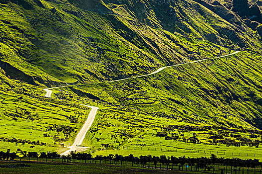 绿色,地点,山坡,道路,滑雪区,湾,奥塔哥地区,新西兰