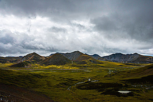 米拉山口景色