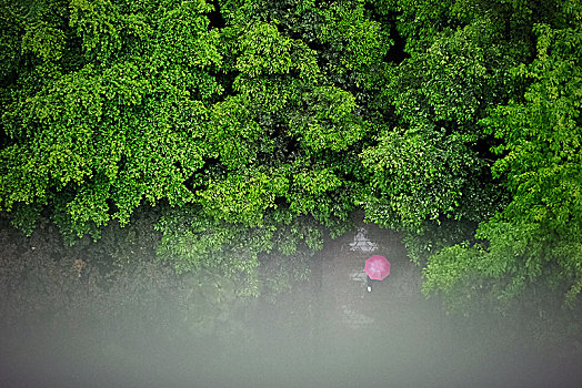 雨季