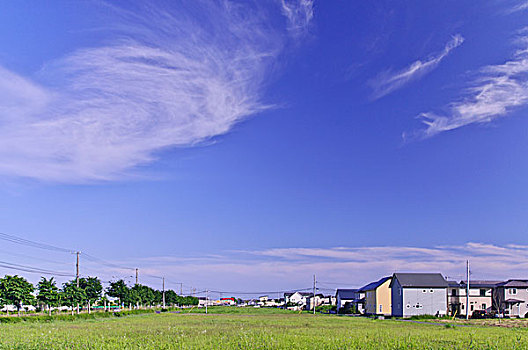 草地,住宅区,蓝天