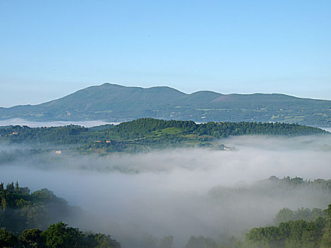 风景,雾状,早晨,托斯卡纳