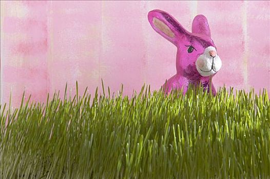 复活节兔子,坐,草