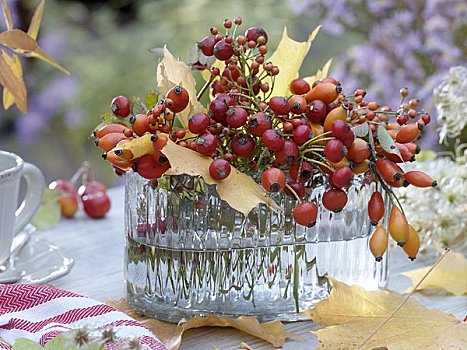 束,野玫瑰果,秋叶,玻璃花瓶