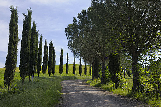 乡间小路,托斯卡纳,意大利