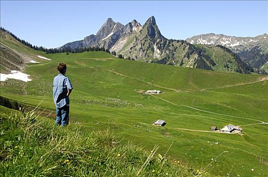 高山牧场,山,阿尔卑斯山,瑞士