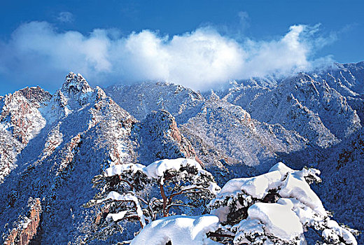 全景,山脉,积雪